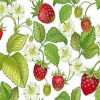 Vintage Strawberry Fruit Diamond Painting