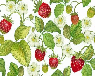 Vintage Strawberry Fruit Diamond Painting