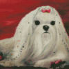 Aesthetic Maltese Dog Diamond Painting
