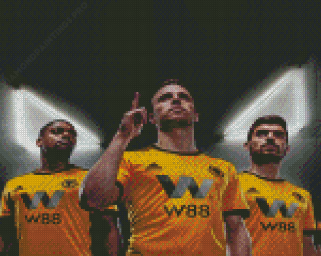 Wolverhampton Wolves Diamond Painting