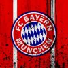Bayern Munich FC Logo Diamond Painting