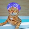 Cat In Shower With Head Bonnet Diamond Painting
