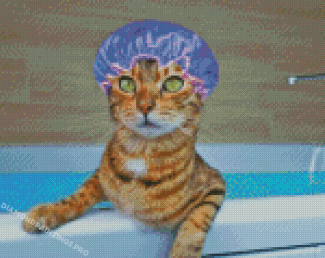 Cat In Shower With Head Bonnet Diamond Painting