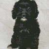 Cute Black Cockapoo Dog Diamond Painting