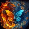 Fire And Water Butterfly Diamond Painting