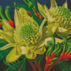 Green Waratah Diamond Painting