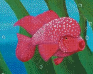 Red Flowerhorn Fish Diamond Painting