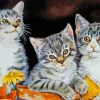 Tabby Kittens Diamond Painting