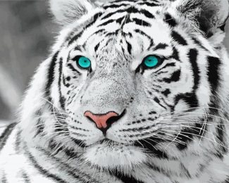White Tiger Blue Eyes Diamond Painting