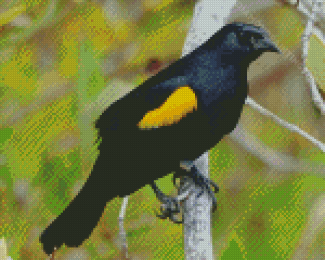 Yellow Winged Blackbird On Branch Diamond Painting