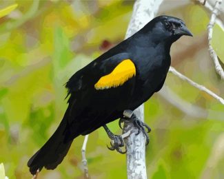 Yellow Winged Blackbird On Branch Diamond Painting