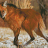Aesthetic Fox Wolf Diamond Painting