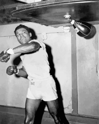 American Boxer Sugar Ray Robinson Black And White Diamond Painting