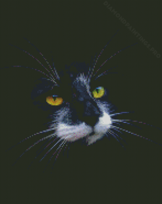 Black Cat With White Whiskers Diamond Painting