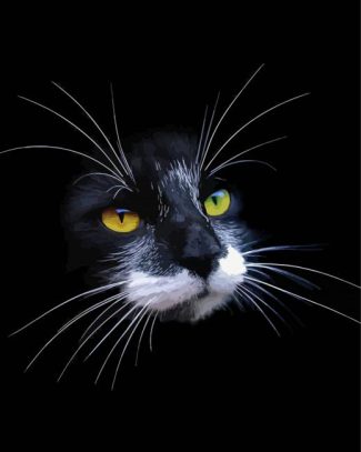 Black Cat With White Whiskers Diamond Painting