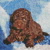 Brown Cockapoo Puppy Diamond Painting