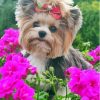Yorkshire Terrier And Flowers Diamond Painting