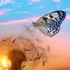 Dandelion Butterflies With Sunset Diamond Painting