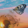 Dandelion Butterflies With Sunset Diamond Painting