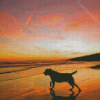 Dog In The Beach At Sunset Diamond Painting
