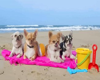 Dogs In Beach Diamond Painting