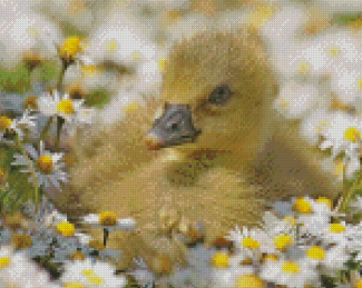 Duck And White Flowers Diamond Painting