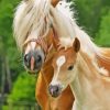 Haflinger Horse Mother And Foal Diamond Painting