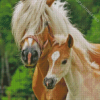 Haflinger Horse Mother And Foal Diamond Painting