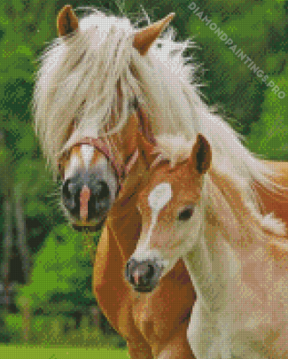 Haflinger Horse Mother And Foal Diamond Painting