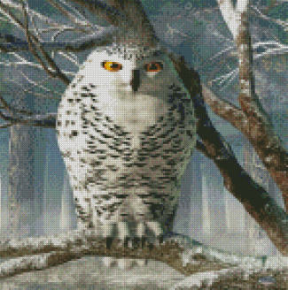 Owl In Snow Diamond Painting