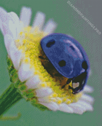 Purple Ladybug Diamond Painting