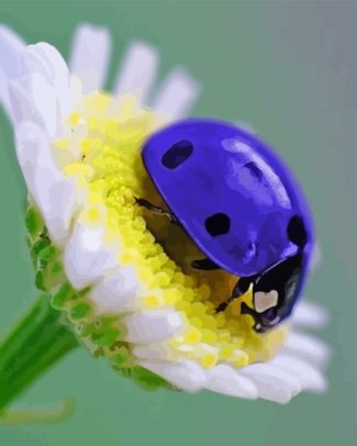 Purple Ladybug Diamond Painting