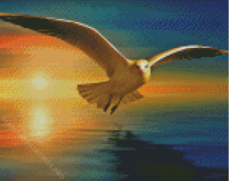 Seagull And The Sunset Diamond Painting