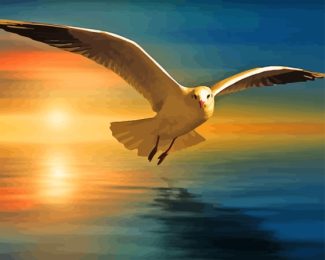 Seagull And The Sunset Diamond Painting