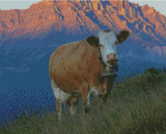 Simmental Cattle With Bell Diamond Painting