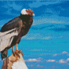 The Condor Bird Diamond Painting