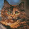 Tortoiseshell Cat Diamond Painting