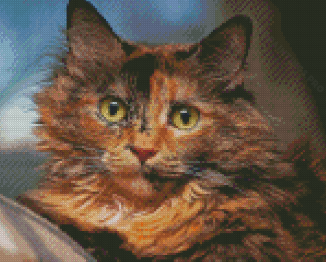 Tortoiseshell Cat Diamond Painting