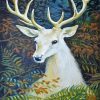 Wild White Deer Diamond Painting