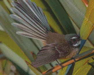 Cool Fantail Diamond Painting