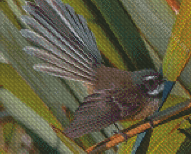 Cool Fantail Diamond Painting