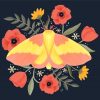 Rosy Maple Moth Diamond Painting