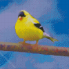 Lonely Yellow Finch Diamond Painting