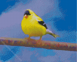 Lonely Yellow Finch Diamond Painting