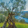Olive Trees Landscape Diamond Painting