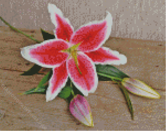 Stargazer Lily Diamond Painting