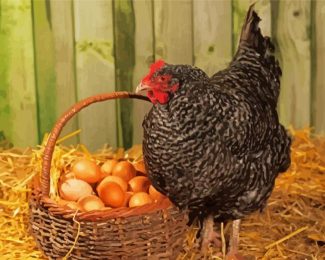 Black Chicken With Eggs Diamond Painting
