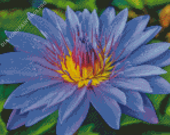 Blue Water Lily Rose Diamond Painting