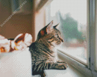 Cat By Window Diamond Painting