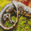 Salamander Diamond Painting